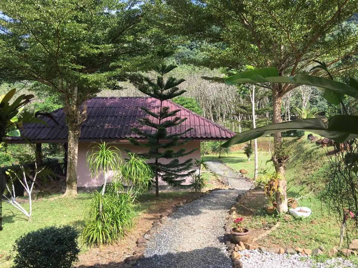 Khao Sok Hill Top Resort Khao Sok National Park Exteriör bild