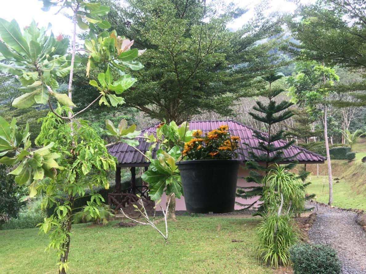 Khao Sok Hill Top Resort Khao Sok National Park Exteriör bild